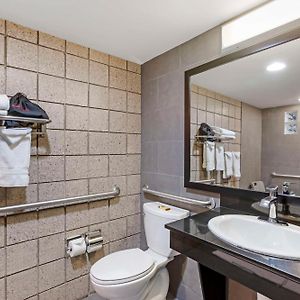 King Room Disability Access